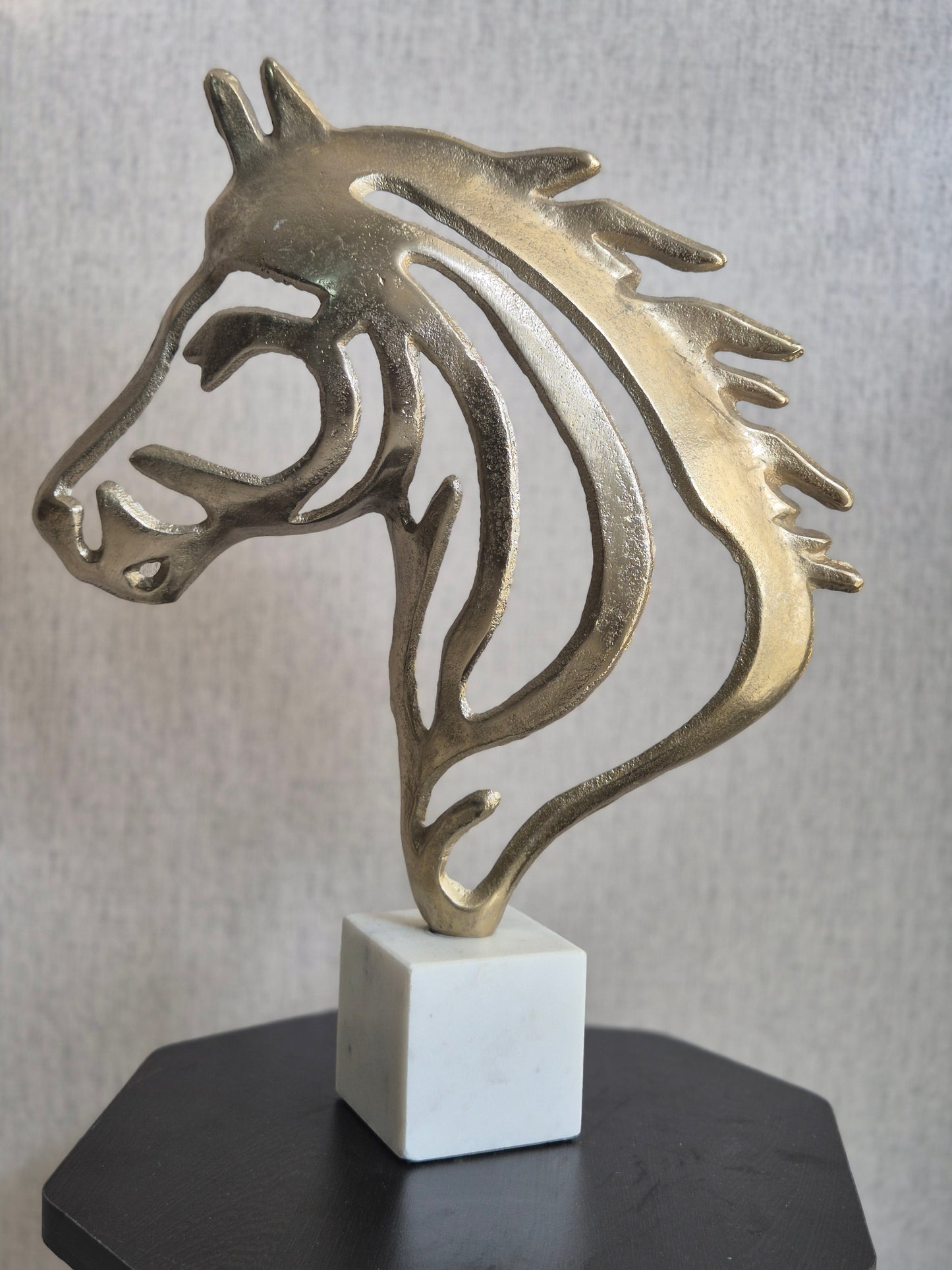 The Silent Gallop