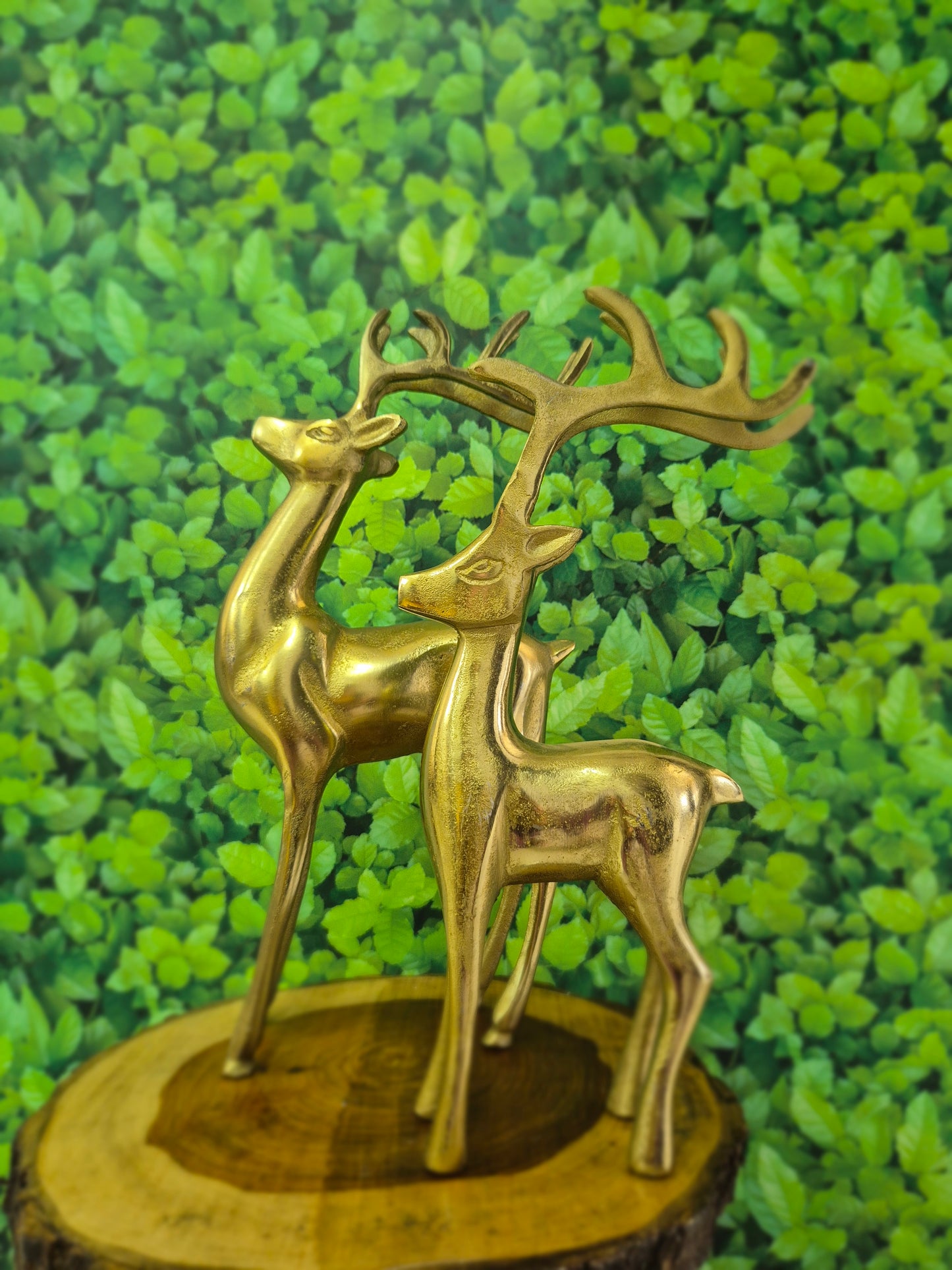 Antlers of Art (Set of 2: Big & Small)