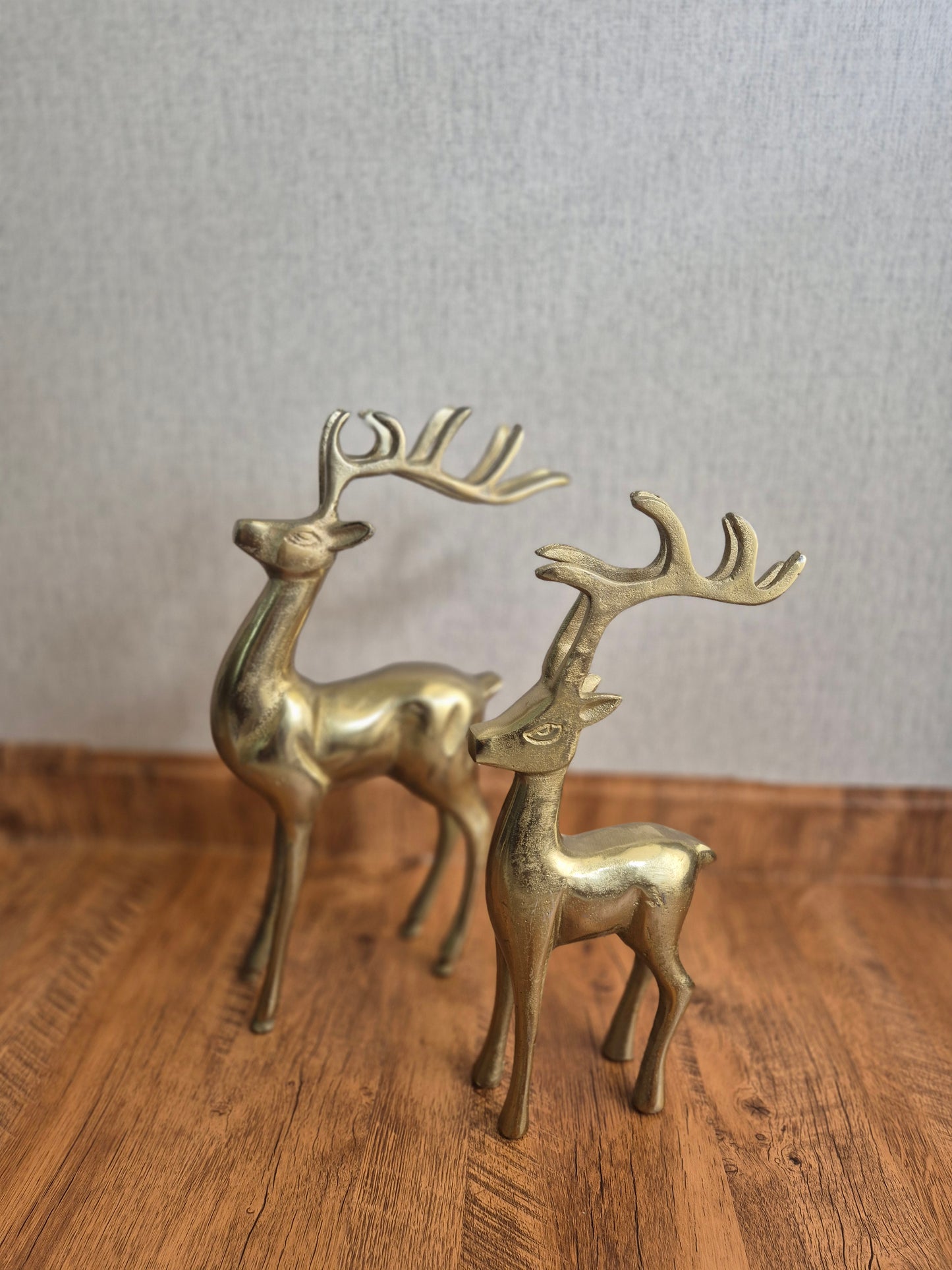 Antlers of Art (Set of 2: Big & Small)