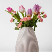 collection-img